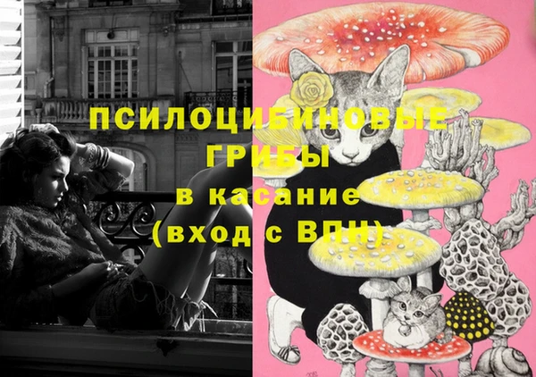 скорость Алексин